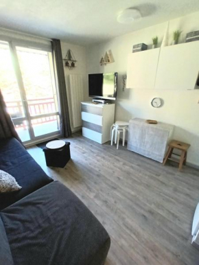 Studio 2 alpes, lumineux plein ouest, balcon, parking, pied piste petite aiguille